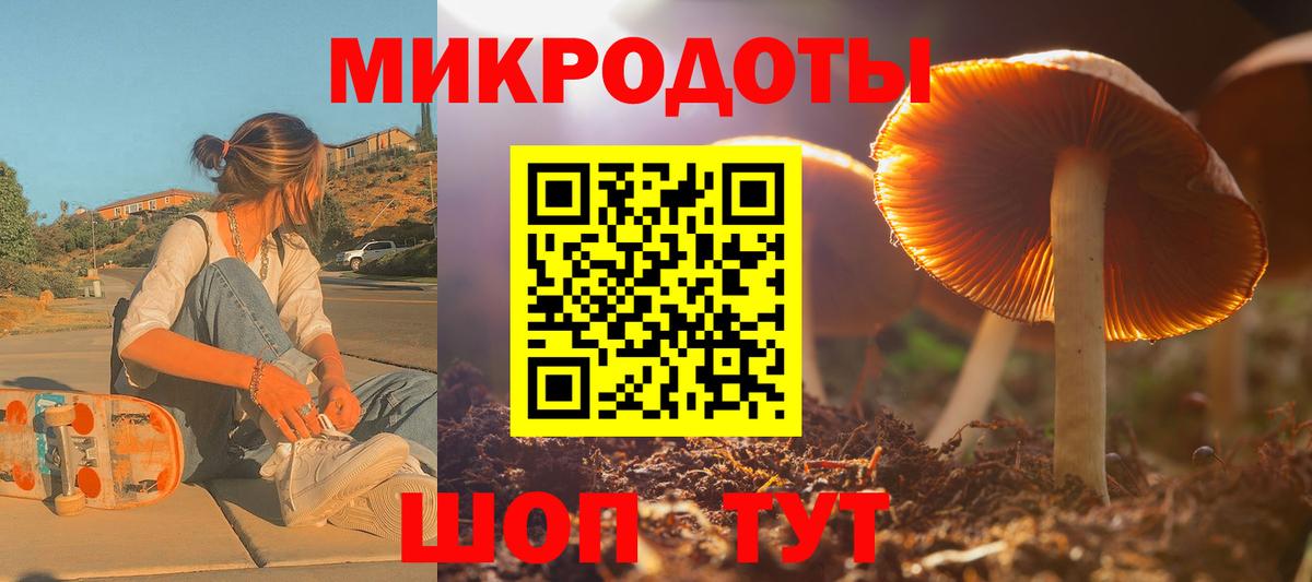 Псилоцибиновые грибы мухоморы Артёмовский